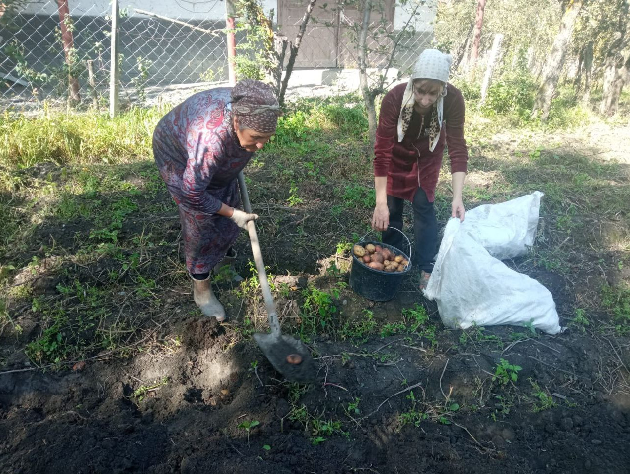 Социальная неотложка.